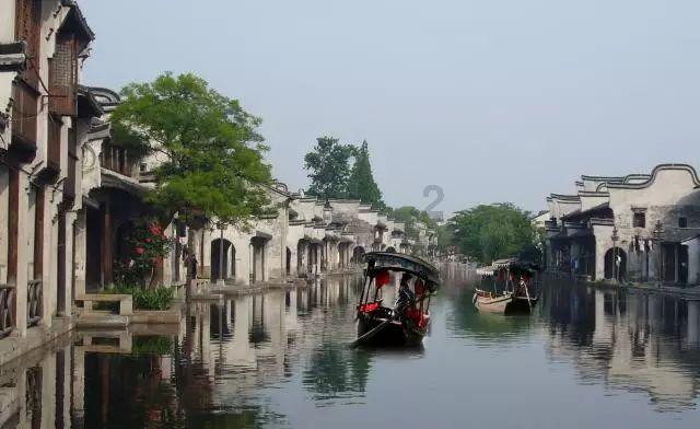 诱捕小浣熊